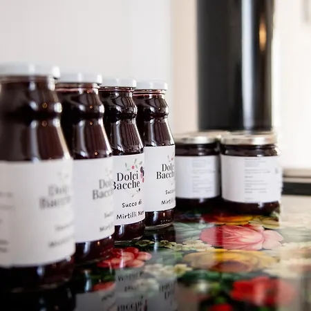 Alojamento de Turismo Rural Ca' Del Clat